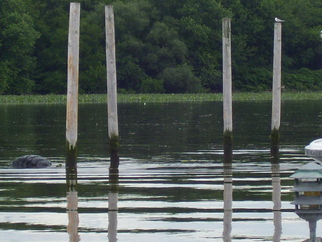 100_4917