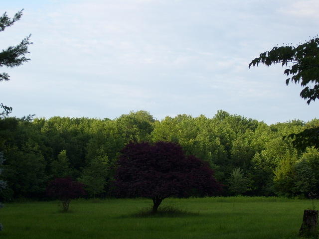 100_4921