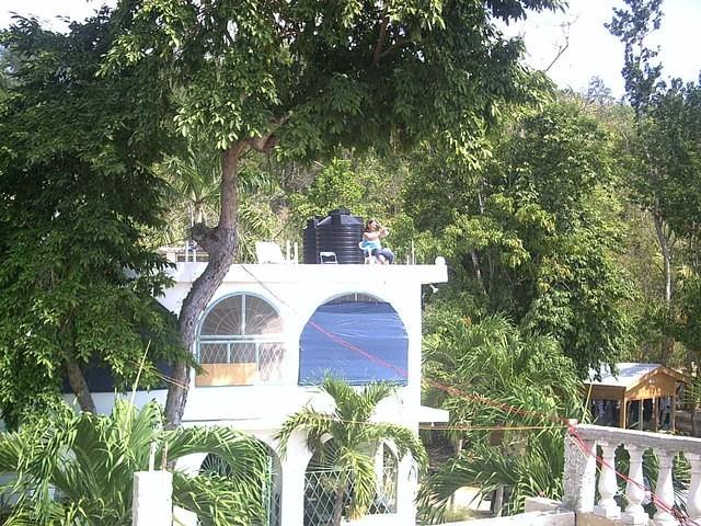 PICT1281