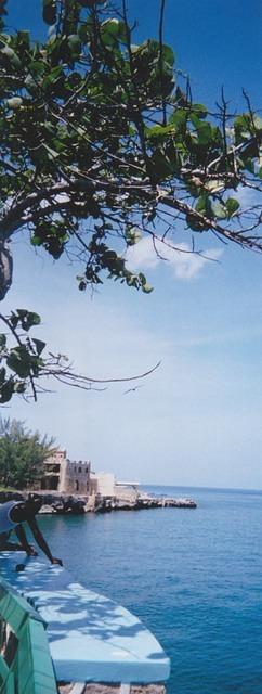seagrape
