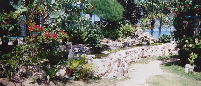 The new turtle pond at the castle