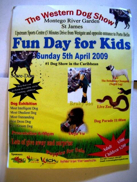 dog show mo bay