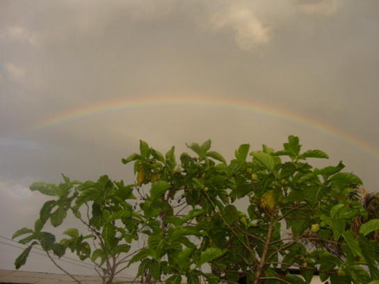 Apr2 rainbow6 noni