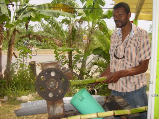Apr4 cane press1