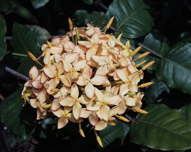 P4010195
