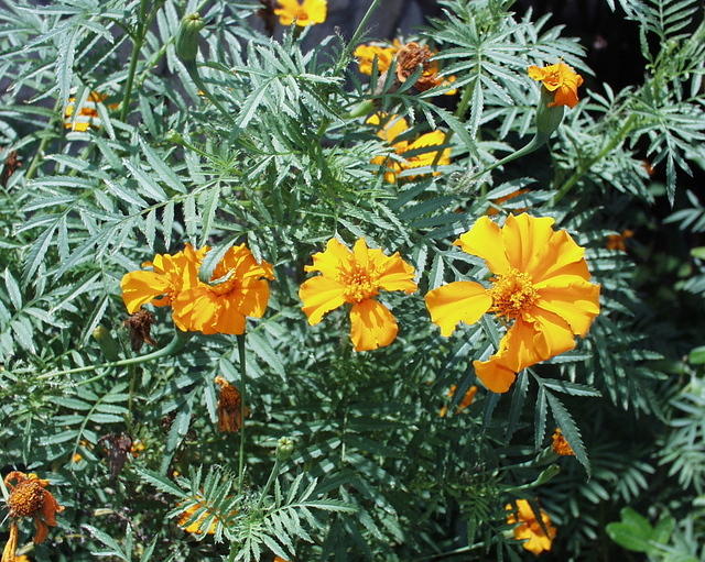 P4010206