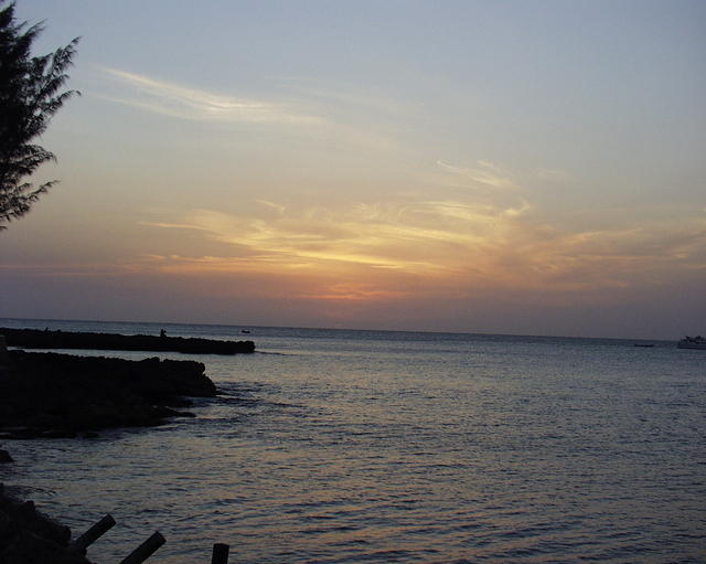 P3310169