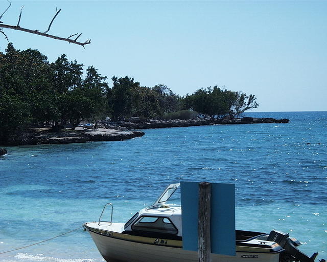 little bay1