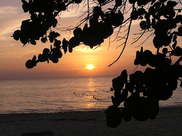 Sunset 5/4/04
