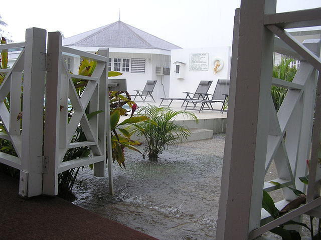 Watching it Rain