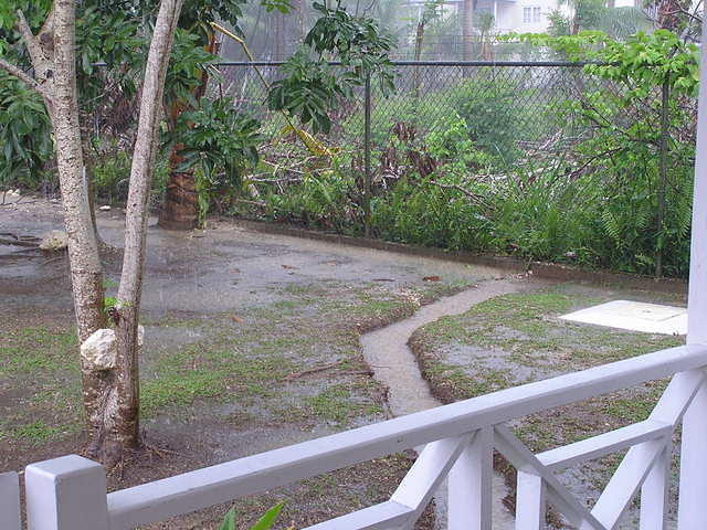 Lots of Rain today!