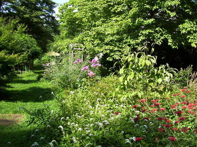 Birdladies Yard