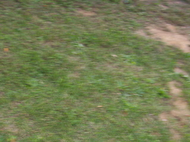 100_3046