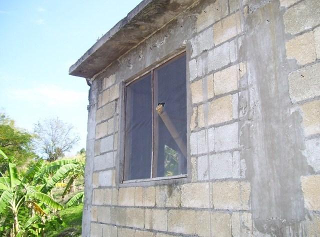 Window Screen