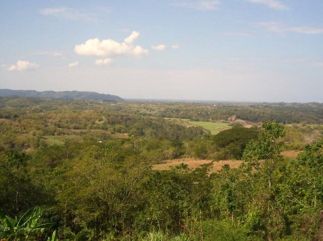 Valley View, March 2nd, 2011