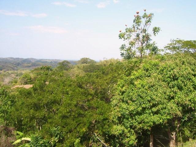 Valley View, March 2nd, 2011
