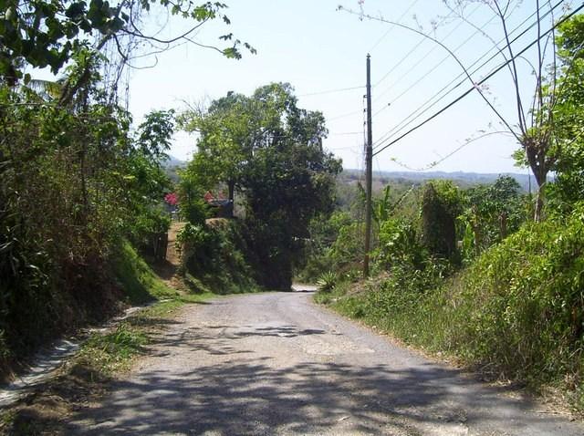 Murder Hill