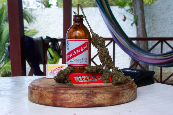Anything else you need?