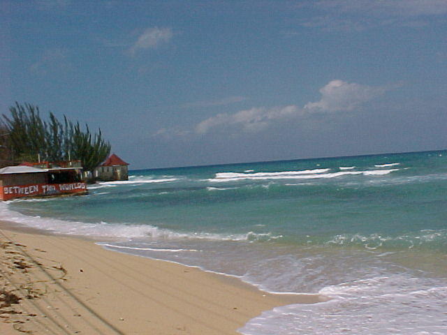 MVC_002F_002.jpg
