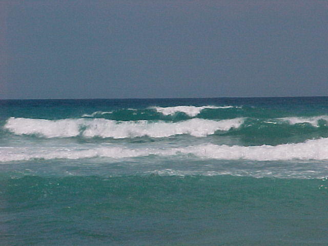 MVC_004F_002.jpg
