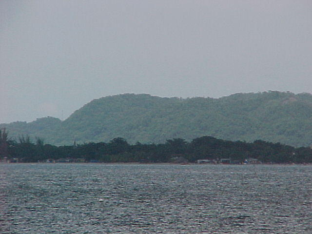 MVC_006F_008.jpg