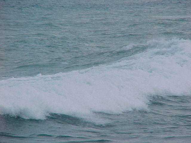 MVC_009F_003.jpg