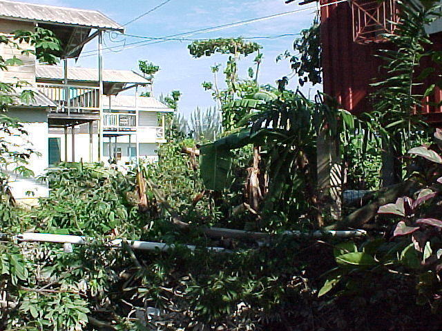 MVC-010F