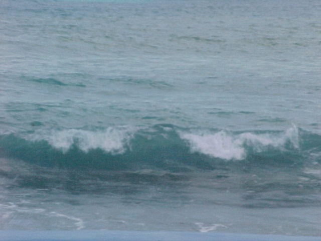 MVC_010F_002.jpg