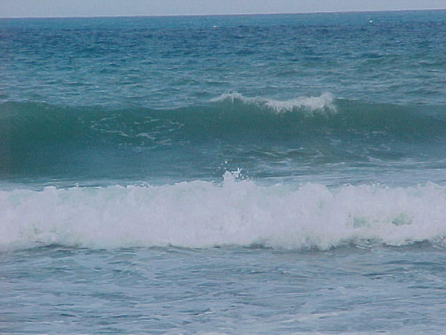 MVC_011F_002.jpg
