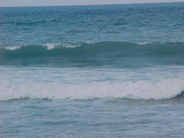 MVC_012F_003.jpg