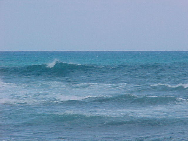 MVC_013F_002.jpg