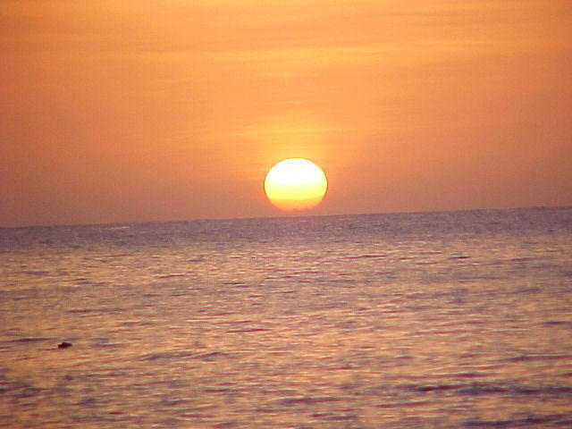 MVC_017F_003.jpg