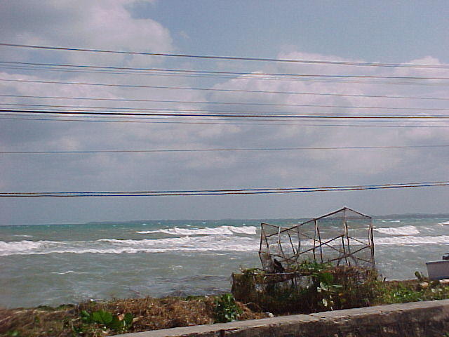 MVC_021F_001.jpg