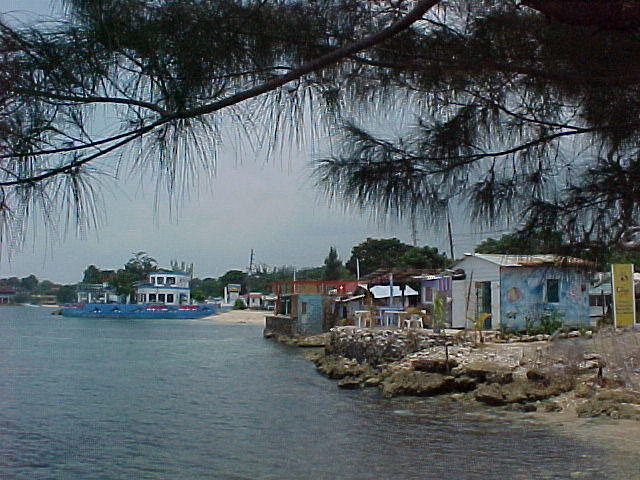 tree view