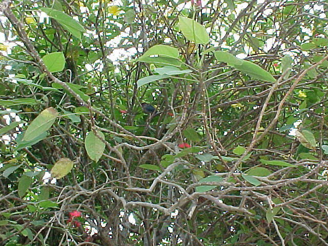 MVC-002F