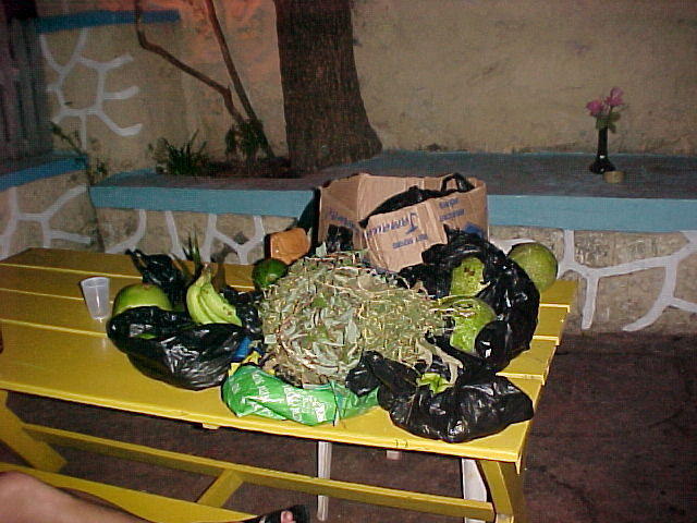 MVC-003F