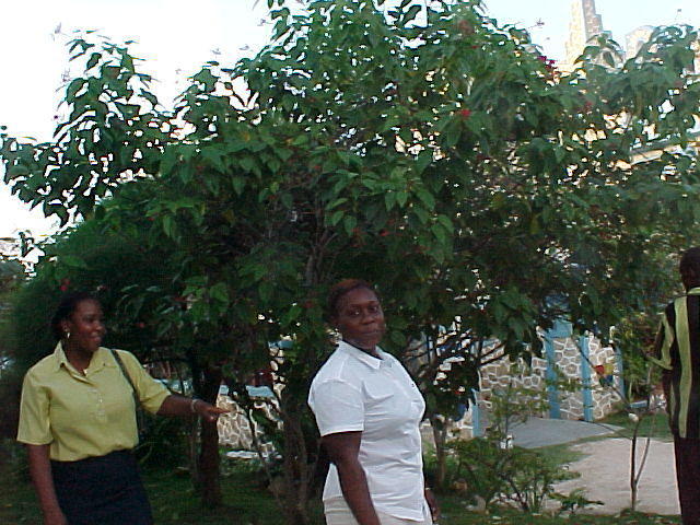 MVC-004F