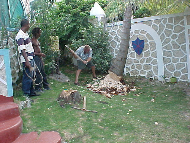 MVC-021F