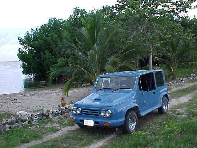 MVC-005F