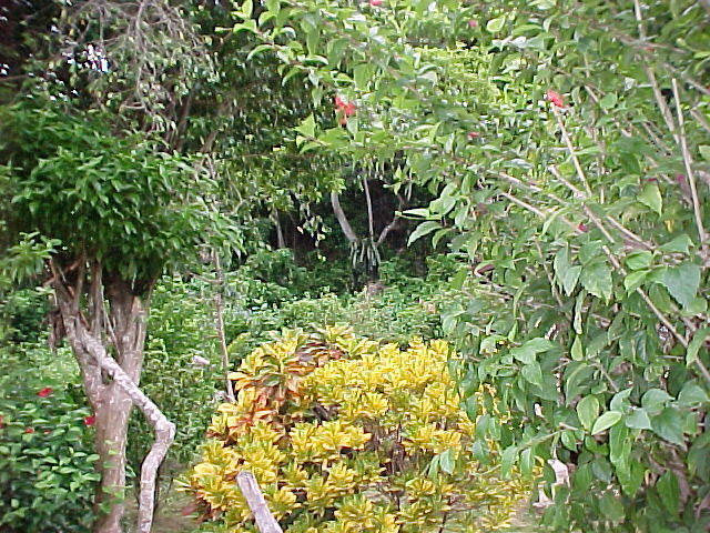 MVC-012F