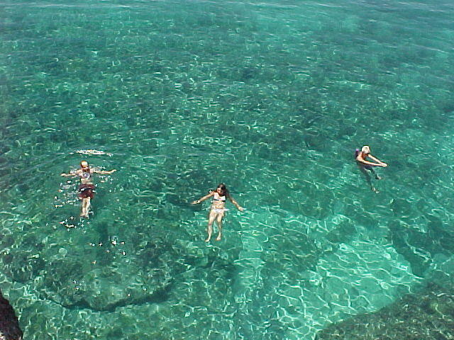 Swimmers
