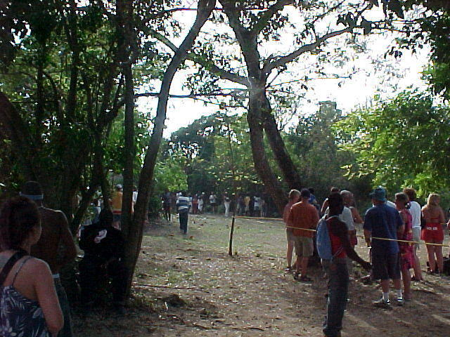 MVC_004F_007.jpg