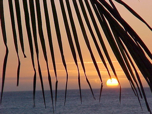 MVC_005F_009.jpg