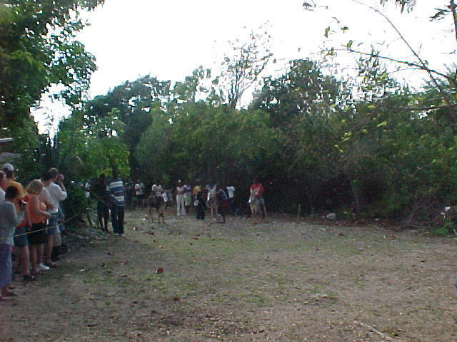 MVC_007F_006.jpg