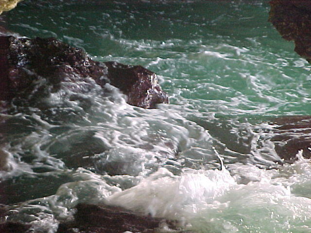 MVC_008F_001.jpg