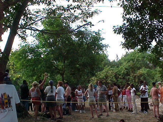 MVC_008F_007.jpg