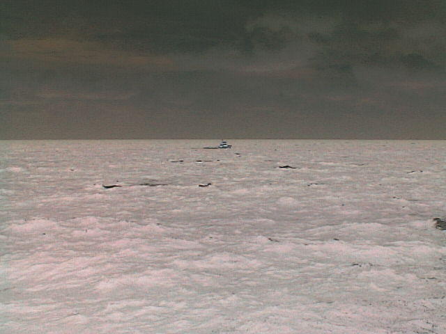 MVC_010F.jpg