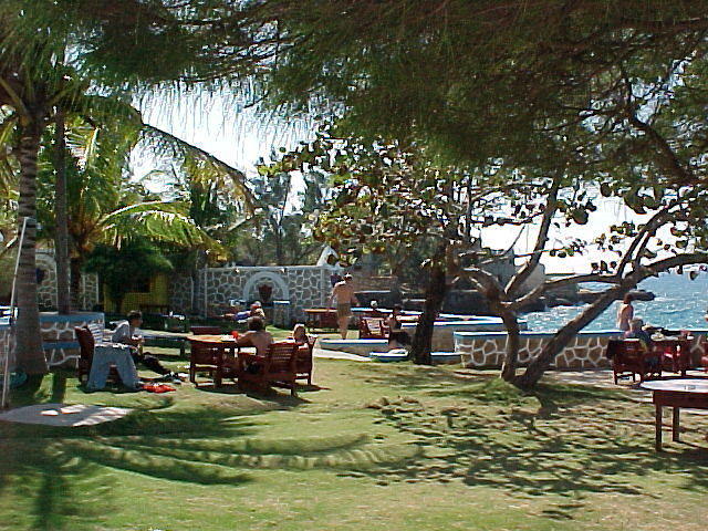MVC_010F_001.jpg