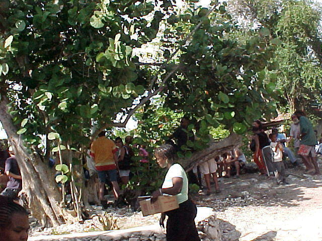 MVC-010F