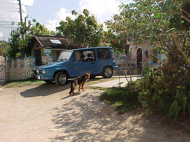 MVC_011F.jpg